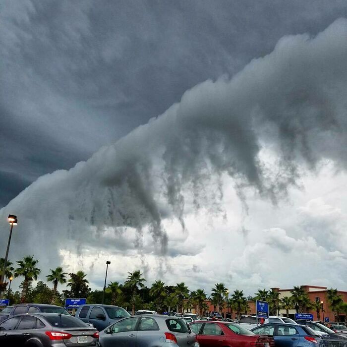 Fascinating cloud shapes resembling a fluffy wave over a parking lot with cars and palm trees below.