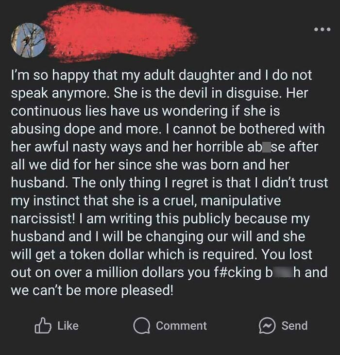 Screenshot of social media post depicting a toxic mother expressing disdain for her adult daughter.