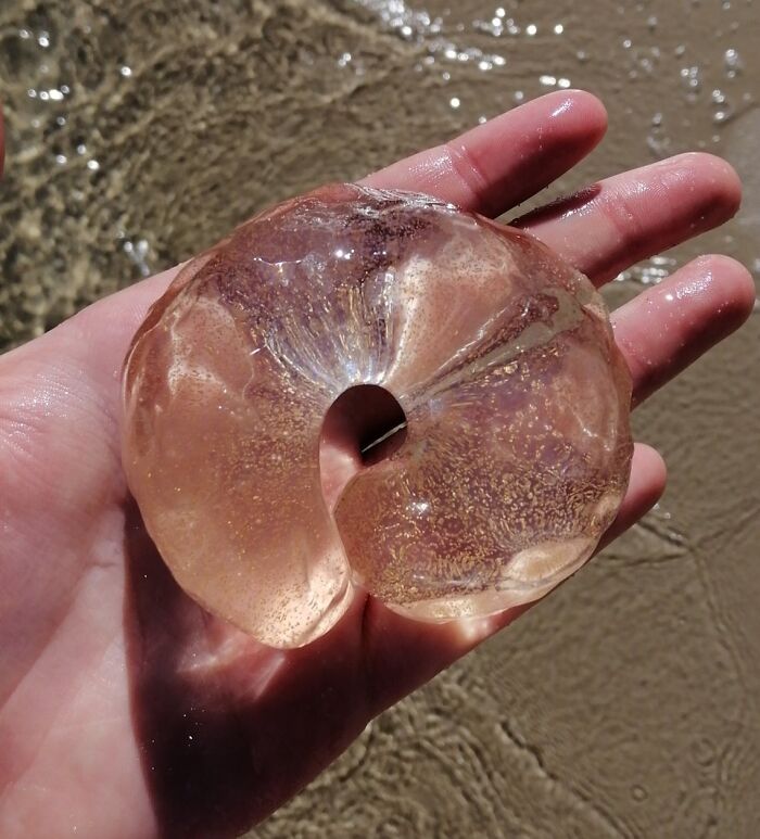 Hand holding a translucent, spiral-shaped quirky treasure found washed ashore on a sandy beach.