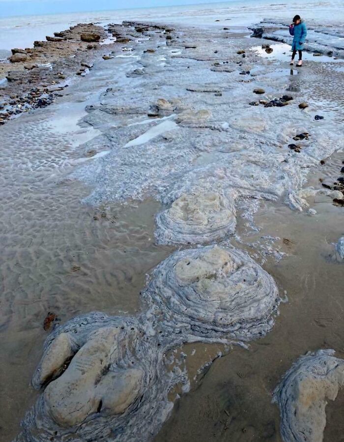 Person discovering quirky treasures on a beach, with unusual rock formations visible.
