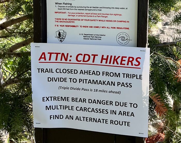 Multiple Carcasses In Area…