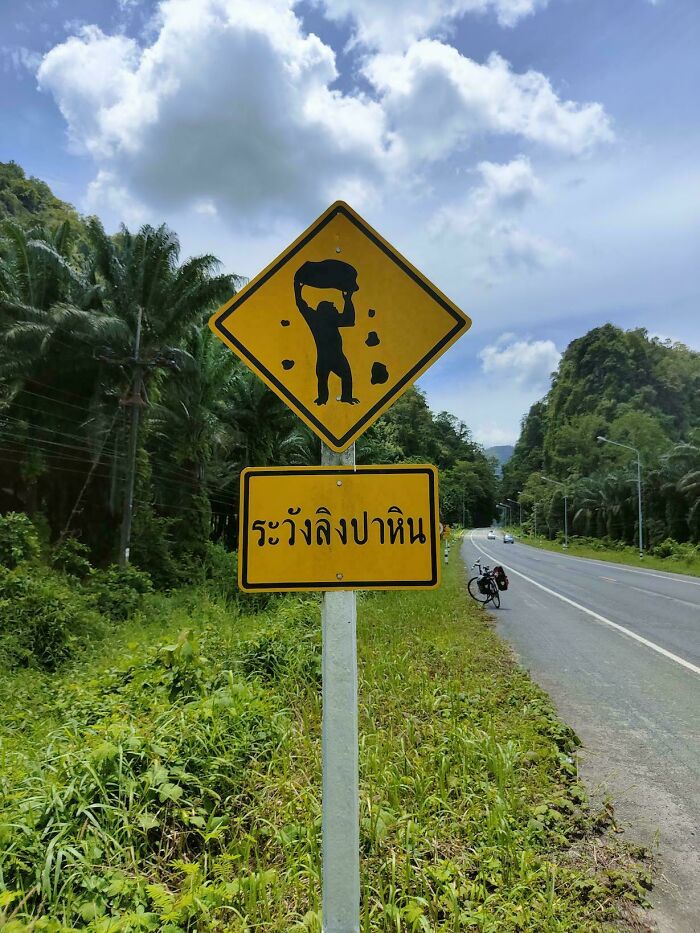 Sign Says "Beware Of Rock Throwing Monkeys"