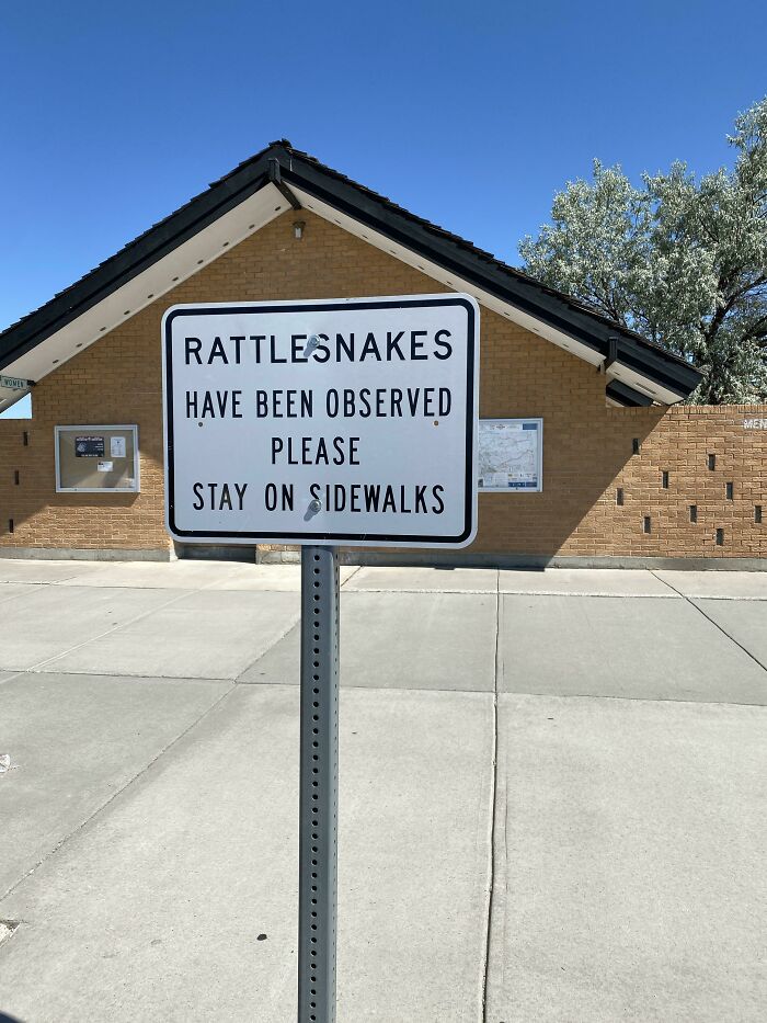 Interesting Choice Of Words