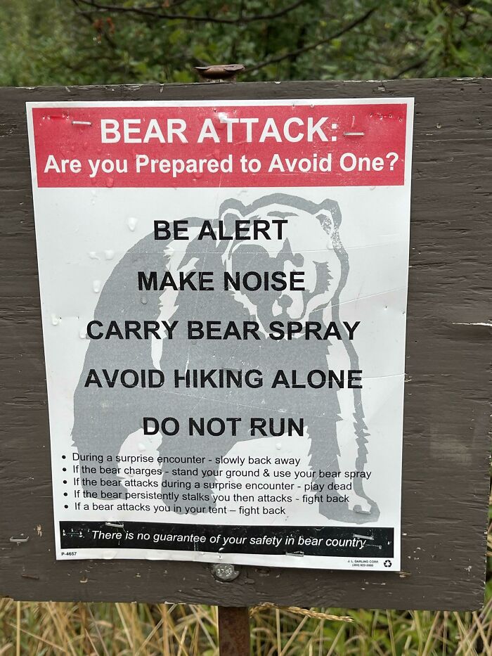 Do Not Run. And We Did Run Into A Bear