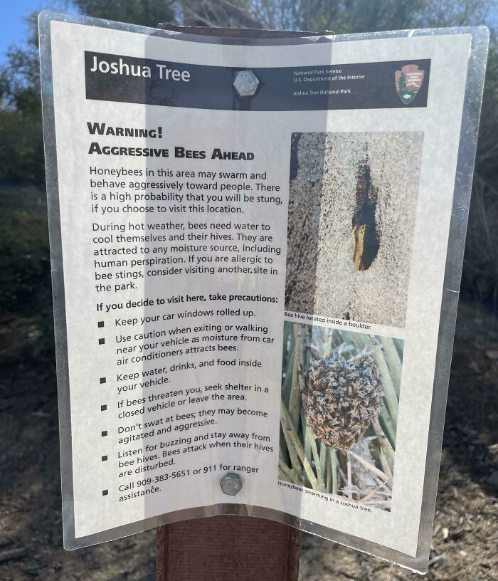 “There Is A High Probability You Will Be Stung If You Visit This Location”