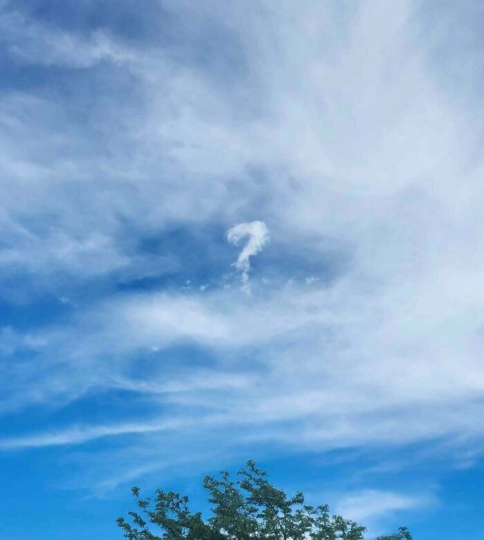 Fascinating cloud shape resembling a question mark in a clear blue sky over tree foliage.