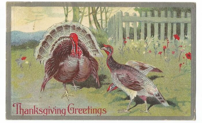 Vintage Thanksgiving Postcard