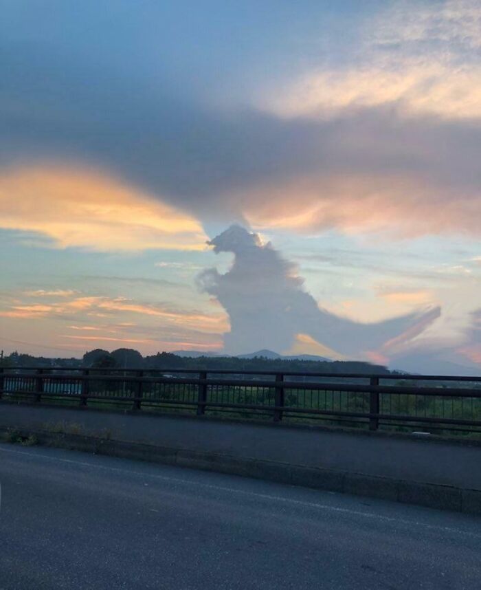 Unbelievable cloud shape resembling a dinosaur at sunset over a bridge.