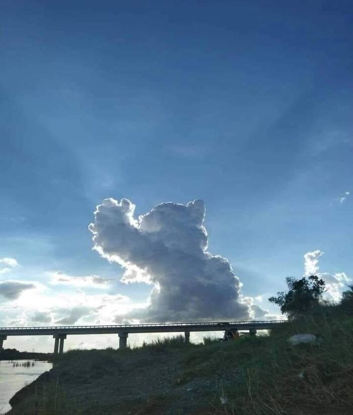 Fascinating cloud shape resembling a bear against a blue sky over a bridge.