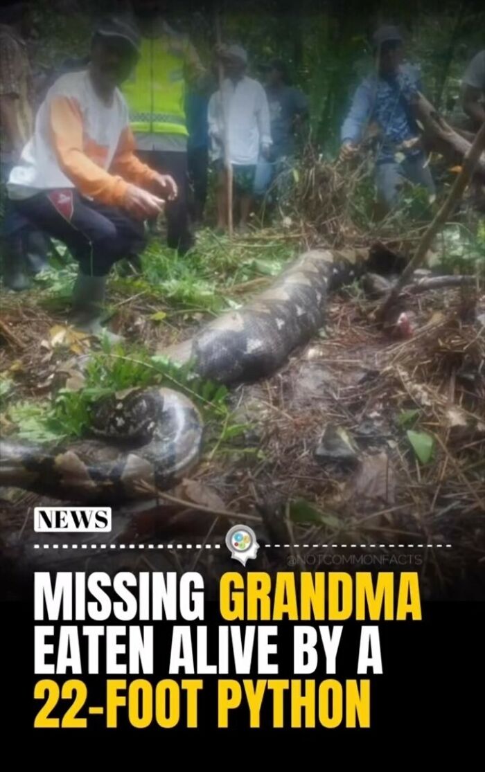 Interesting-Facts-Ig-Notcommonfacts