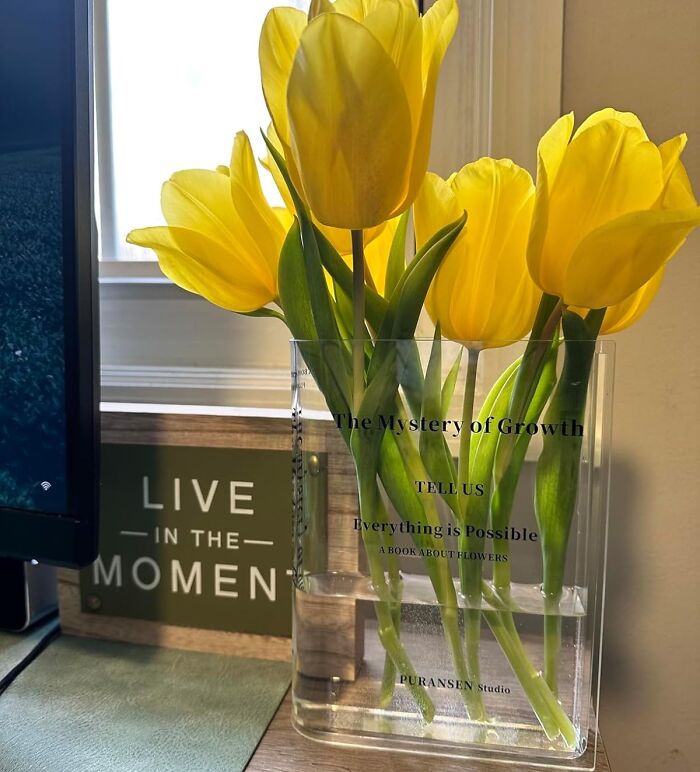 Brighten Up Their Space With A Clear Book Vase Filled With Fresh Flowers, A Thoughtful Touch That Adds A Warm And Welcoming Touch To Their Room