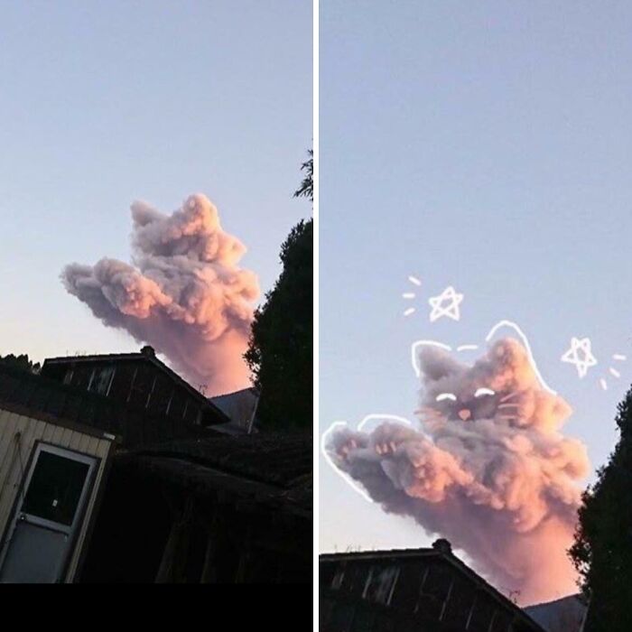 Fascinating cloud shape resembling a cat with doodled stars in the sky at sunset.