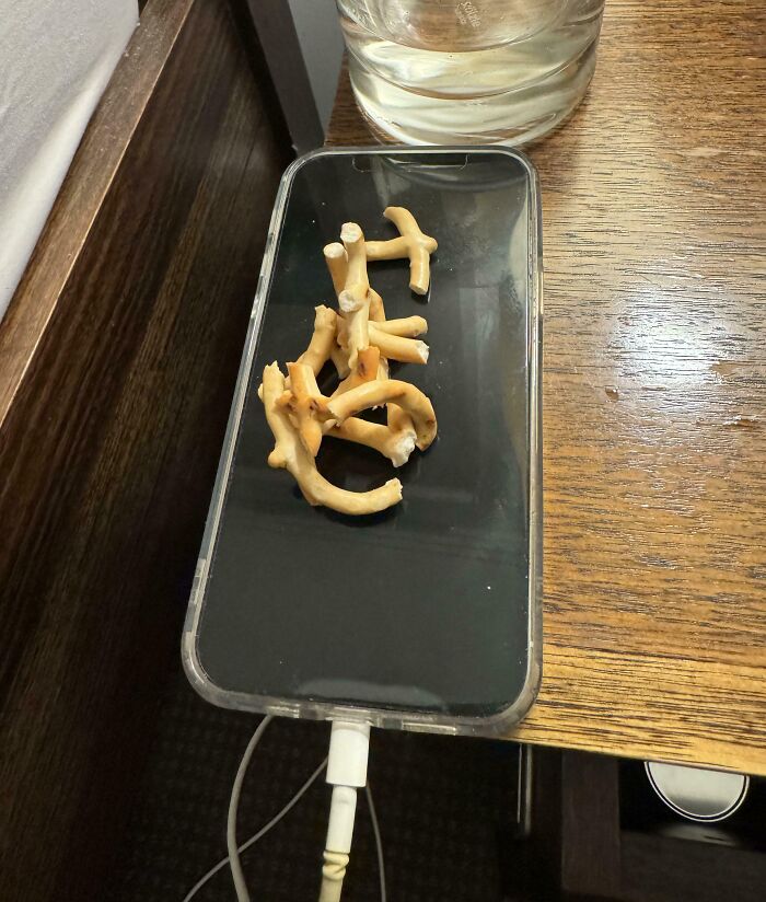 Bone fragments arranged on a smartphone on a wooden table, next to a water glass.