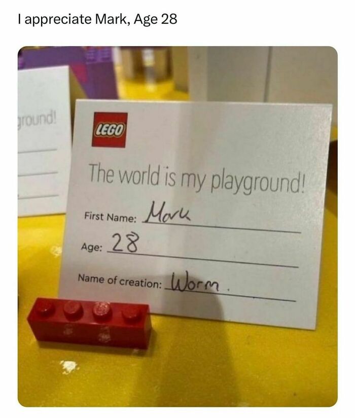 Lego card with a small brick creation named Worm by Mark, age 28, reflecting funny posts about barely holding it together.