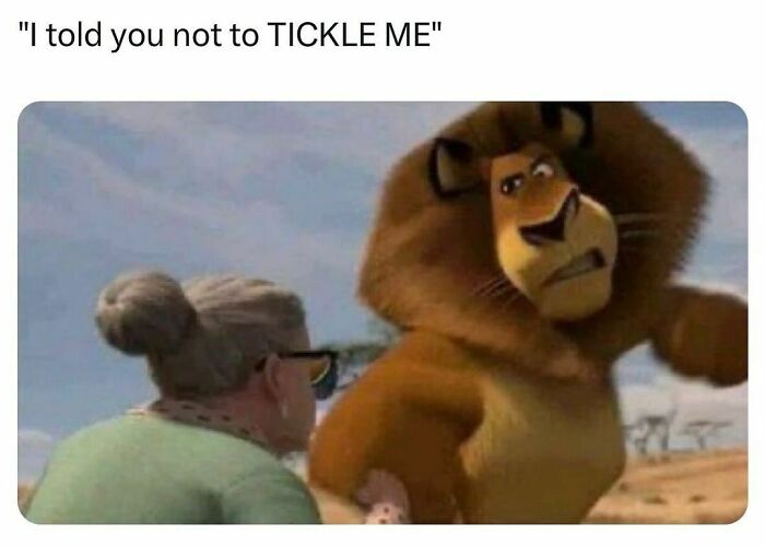 Animated lion with a serious face saying I told you not to tickle me, a funny post proving everyone’s barely holding it together