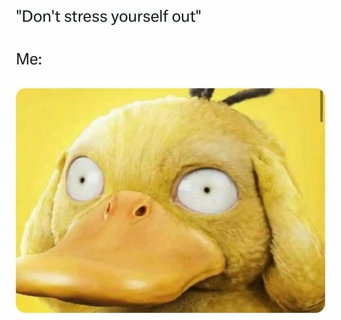 Relatable meme showing a stressed cartoon duck with wide eyes, capturing the feeling of needing a laugh today.