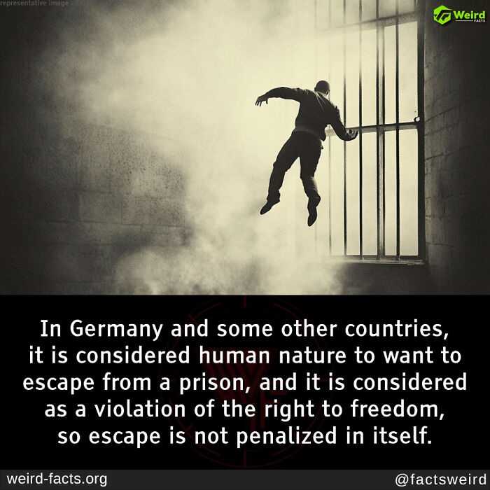 Prisoner escaping through bars, illustrating a weird and random fact about laws in Germany regarding prison escapes.