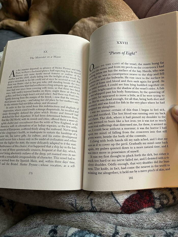 Open book on a dog's back with chapters out of order, illustrating an irritating mistake.