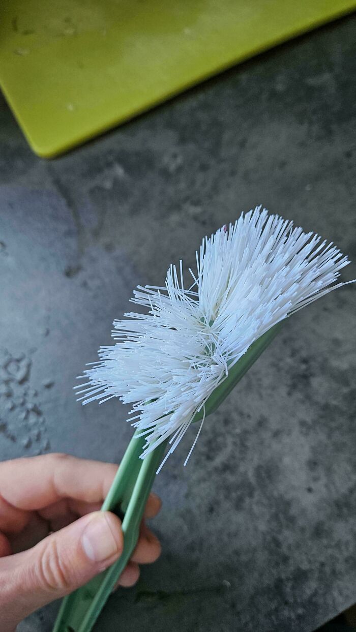 The €0.30 Dishwashing Brush My Wife Bought, After 3 Up-And-Down Movements Through A Lukewarm Pan