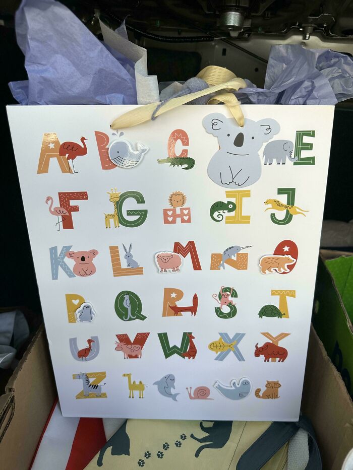 Wife Got This Bag For A Baby Shower. Some Animals Don’t Seem To Represent The Letter