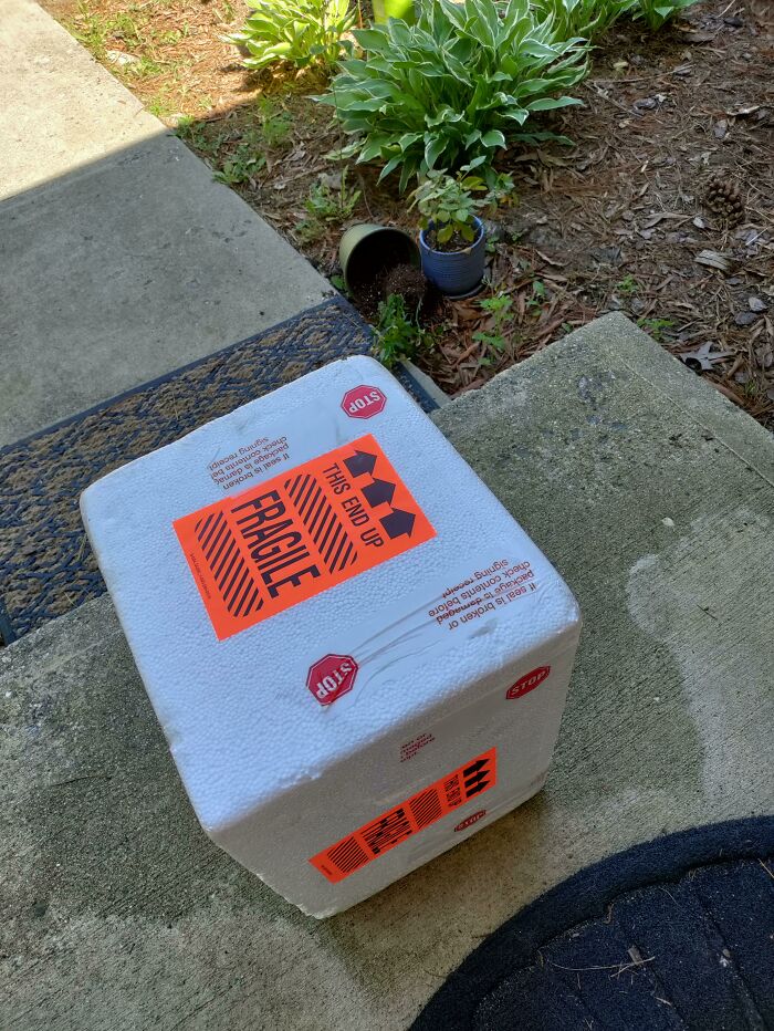 Misplaced package with "this end up" sign upside down, highlighting people being jerks.