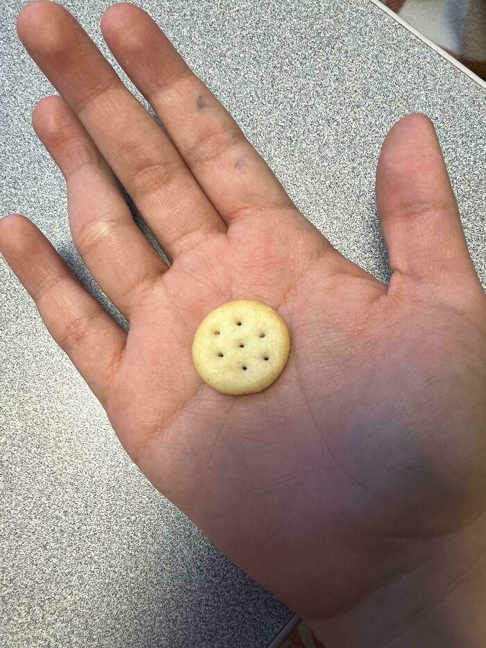 What Is This, A Ritz Cracker For Ants?