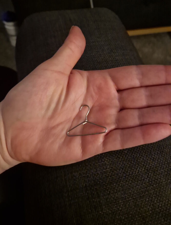 What Is This? A Coat Hanger For Ants?