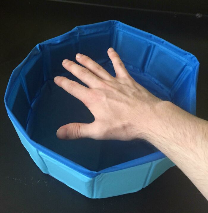 My Mom Bought A Kiddie Pool Online But Didn’t Check The Size