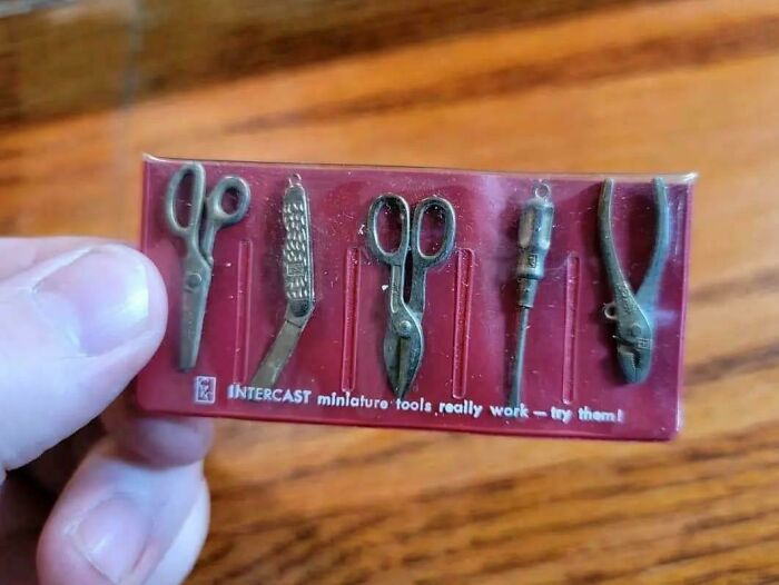 What Are These Tools For Ants
