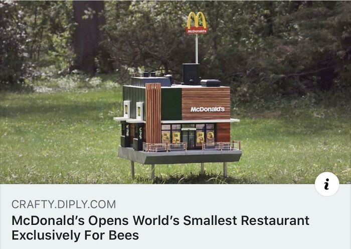What Is This? A Restaurant For Ants?