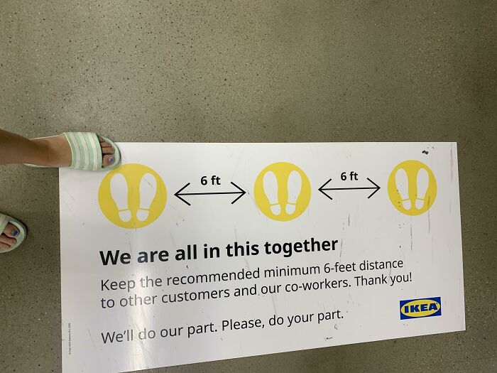 What Is This? Social Distancing For Ants?!