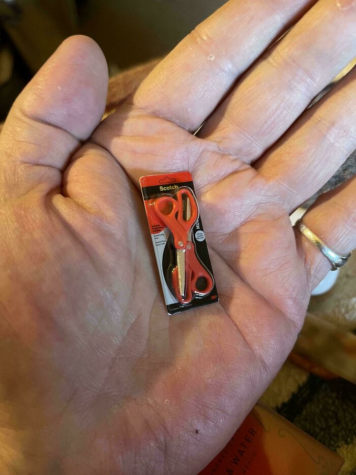 What Are These, Scissors For Ants?