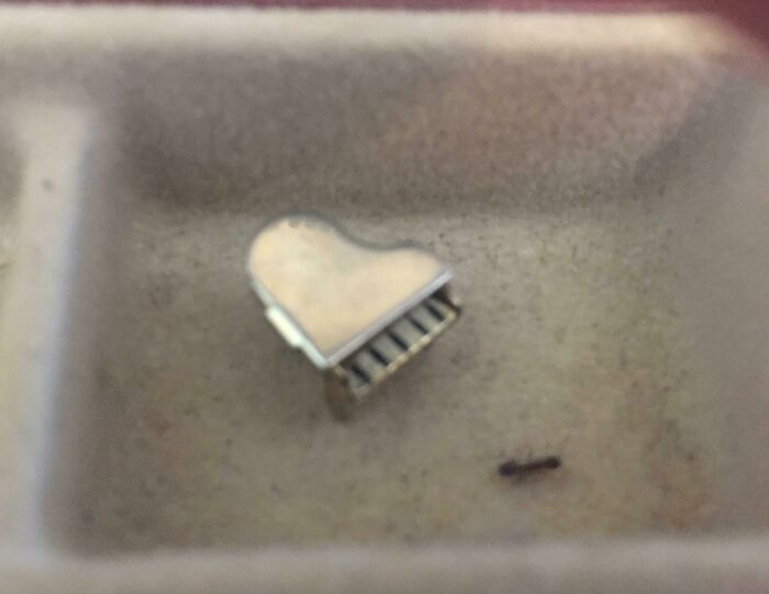 What Is This? A Baby Baby Baby Grand Piano For Ants?