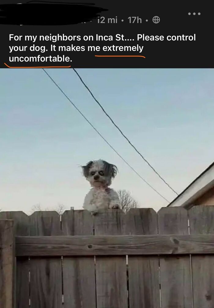 Cute dog peering over a wooden fence with a concerned NextDoor post about neighbors controlling their pets.