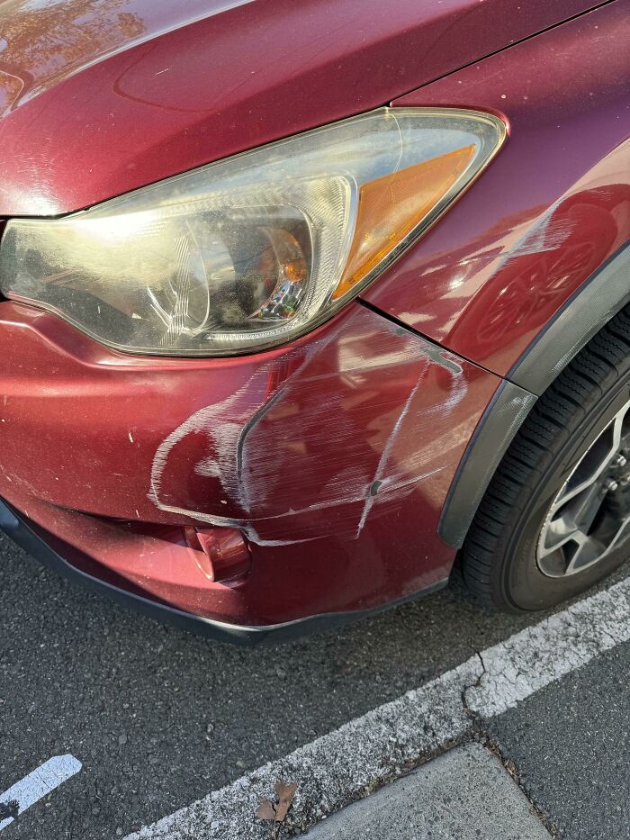 Happy Thanksgiving, Drunk Neighbor