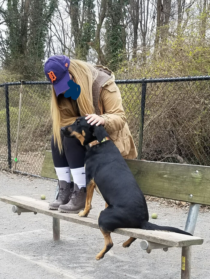 A dog sitting on a bench like a human next to a woman wearing a cap, showcasing its funny shenanigans.