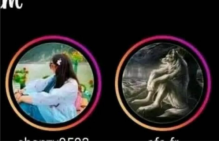 Person sitting by a lake seen in profile, and an artistic wolf illustration.