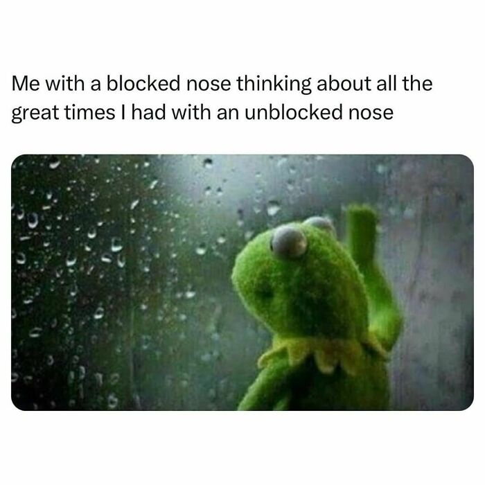 Kermit the Frog looking out a rainy window, reflecting on life in a funny post about barely holding it together.