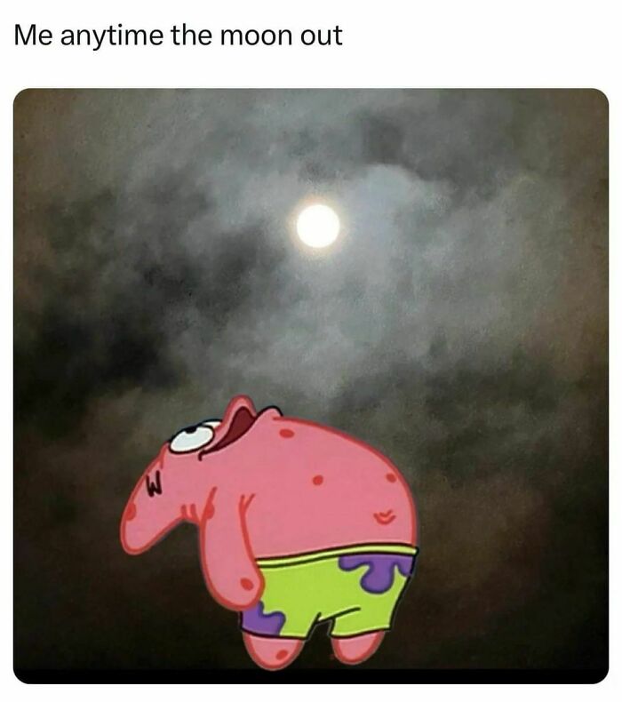 Cartoon character Patrick star looking up at the bright moon, relatable meme from funny memes for a laugh today.