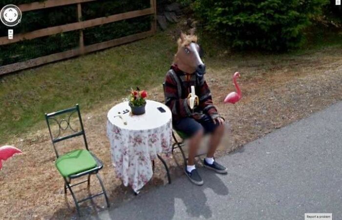 Bizarre life scene on Google Street View: person with horse mask eating banana, sitting at a table with flamingo lawn ornaments.