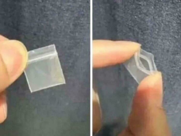 What Is This, A Zip-Lock For Ants?