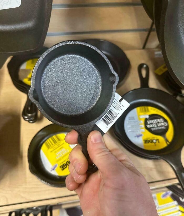 What Is This, A Cast Iron Skillet For Ants?