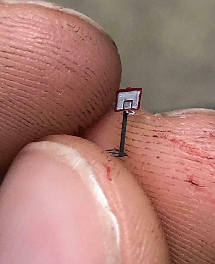 What Is This? A Basketball Hoop For Ants?