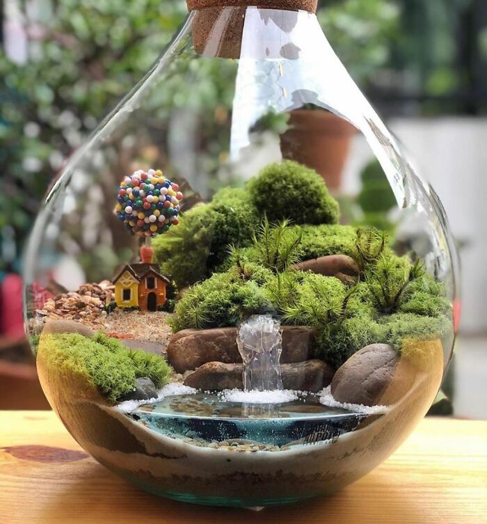 This Extremely Detailed Terrarium