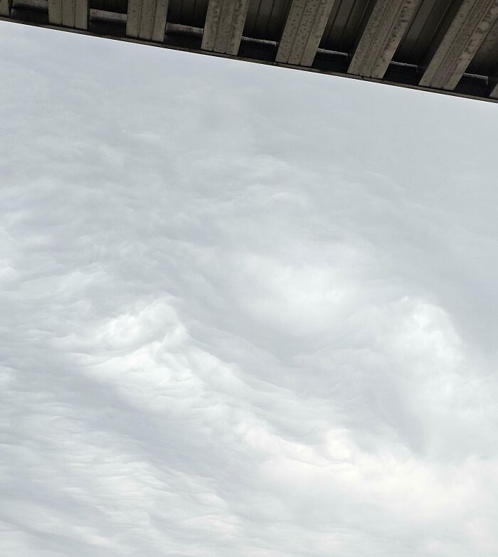 Guess I'll Wait Another 20 Years