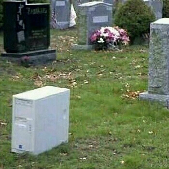 50 Of The Most Cursed Images For People Who Have A Higher Tolerance For Weirdness