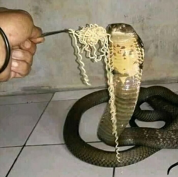 50 Of The Most Cursed Images For People Who Have A Higher Tolerance For Weirdness