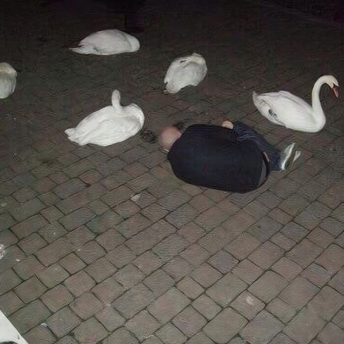 50 Of The Most Cursed Images For People Who Have A Higher Tolerance For Weirdness