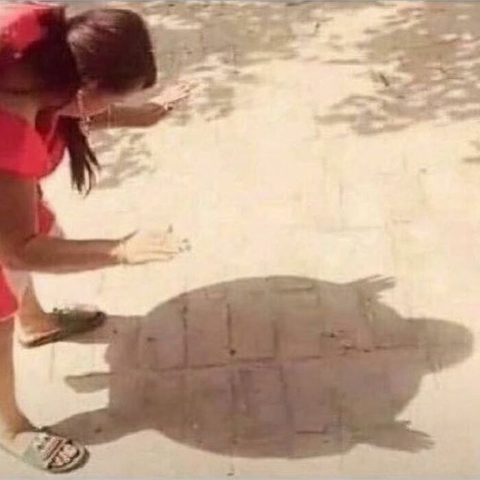 50 Of The Most Cursed Images For People Who Have A Higher Tolerance For Weirdness