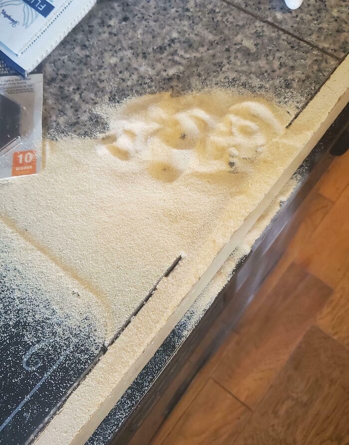 Dropped Newly Purchased $6 Garlic Powder